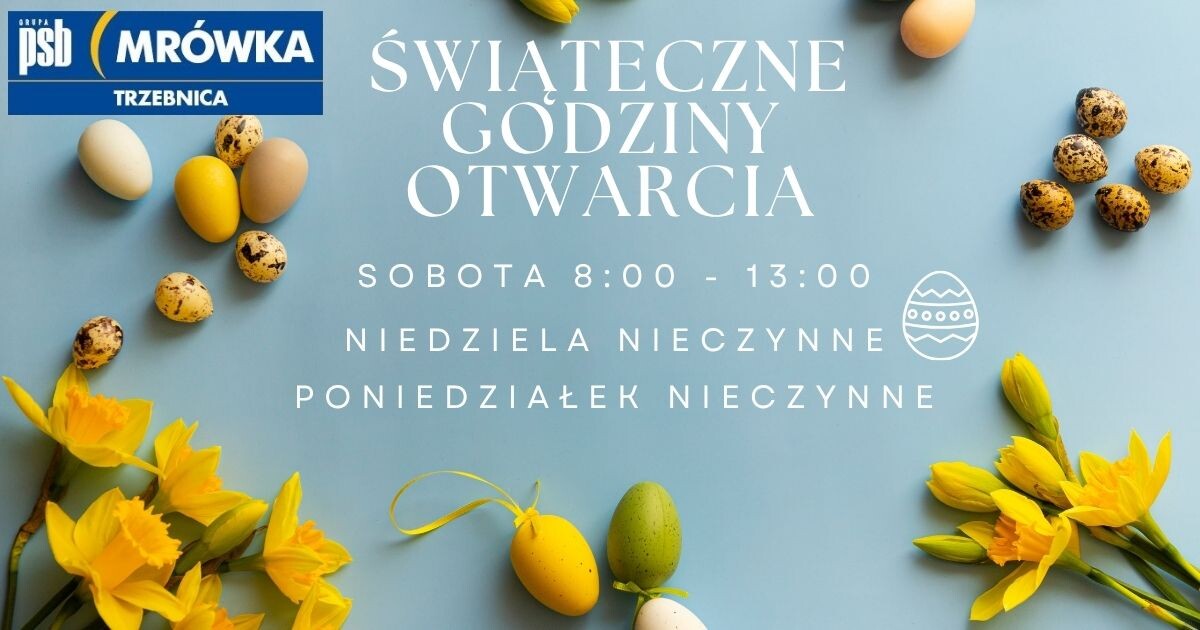 zdjęcie na stronie głównej